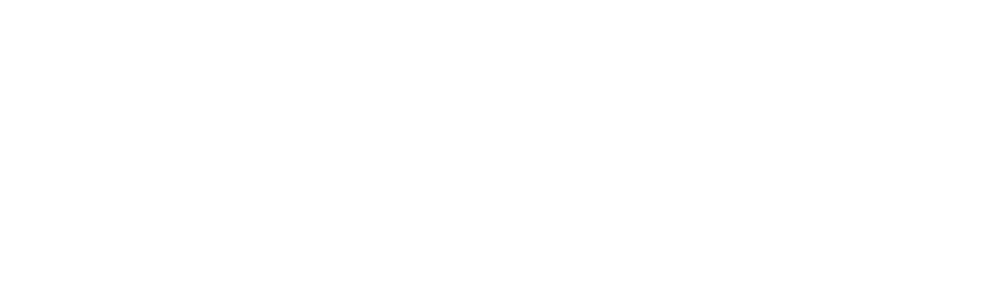 Academy Chiara Ripani logo